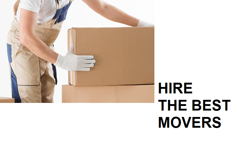 Shipwaves – Hassle-free Packers and Movers in Dubai