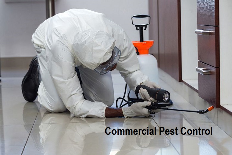 Commercial Pest Control