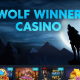 Wolf Winner Casino review